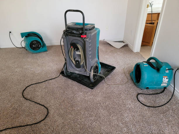 Best Fire Damage Restoration  in Inez, TX