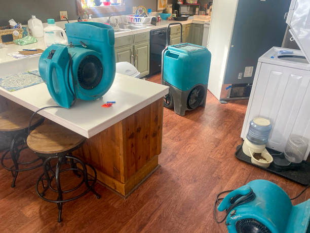 Best Water damage cleanup near me  in Inez, TX