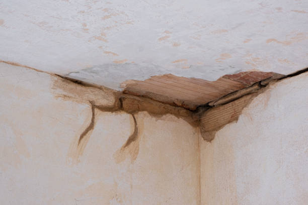 Best Flooded house restoration  in Inez, TX