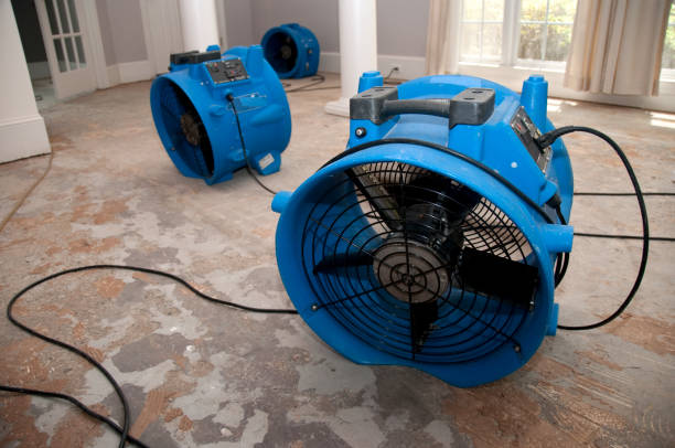  Inez, TX Water damage restoration Pros