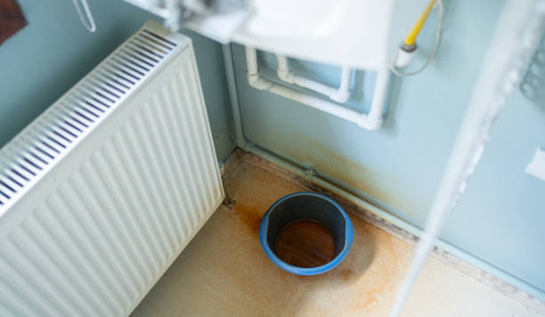 Best Water damage restoration mold remediation  in Inez, TX