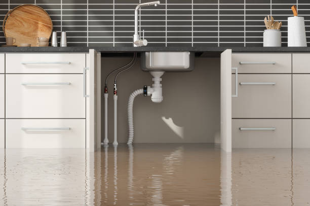 Best Water damage restoration near me  in Inez, TX